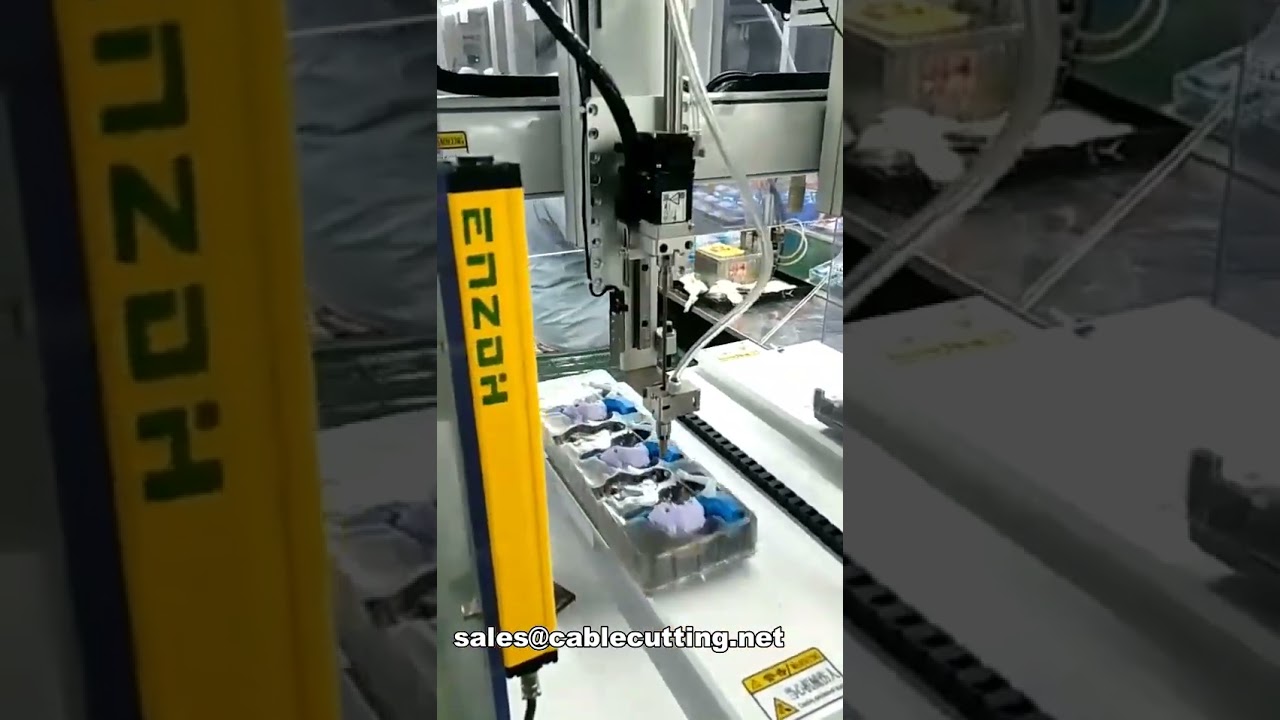 Automatic Desktop Screw Locking Machine for Toys and Electronics WPM-42-20-2Z