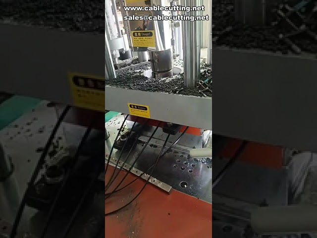 Data Wire Molding Machine | Small Vertical Injection Molding Machine | Four-Column Design