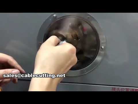 automatic teflon tape wrapping machine wpm 1308