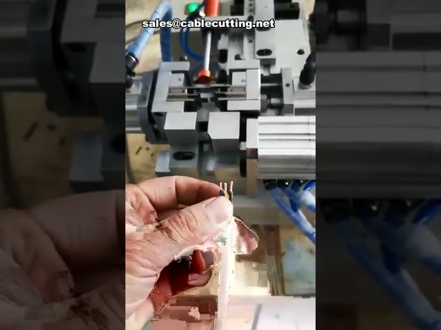 Multi-Function Pneumatic Wire Cutting and Stripping Machine