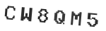 Verification Code Image